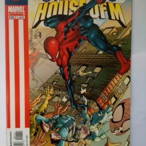 Komiks Spiderman House of M 1 2005
