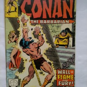 2814.jpg Conan The Barbarian 111 June 1980