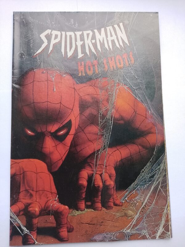 Spiderman Hot Shots Poster Book 1996