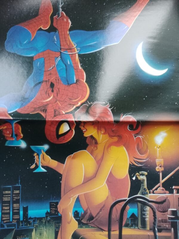 Spiderman Hot Shots Poster Book 1996